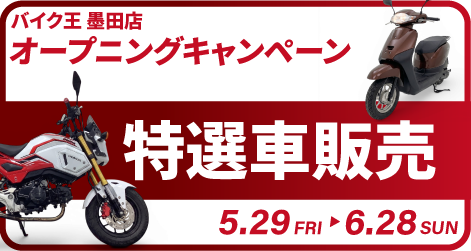メイン